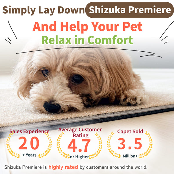 [Soundproof tile carpet] Shizuyuka-Premiere